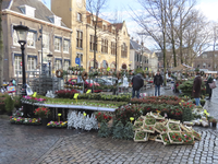 851528 Gezicht op een gedeelte van de bloemen- en plantenmarkt op het Janskerkhof te Utrecht, met op de achtergrond de ...